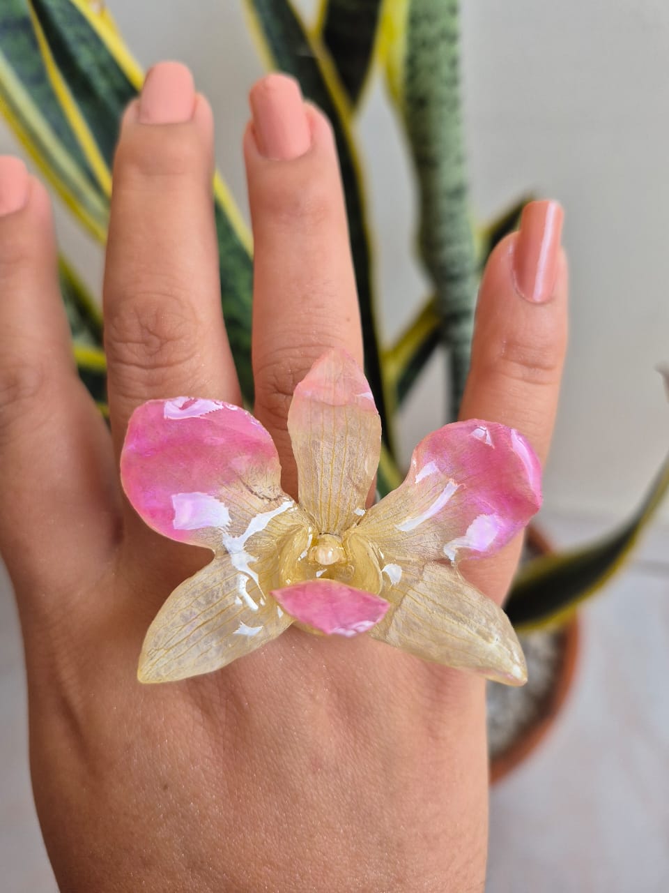  orquidea dendrobium 2